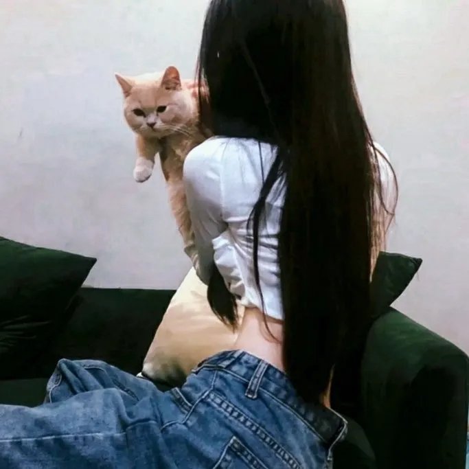 六个视线